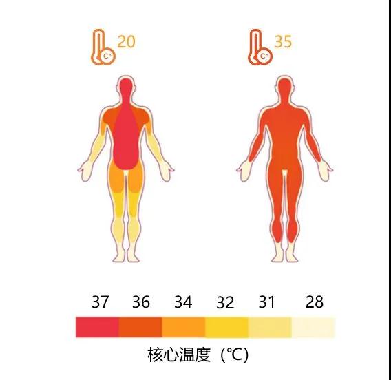 需要更多的水分